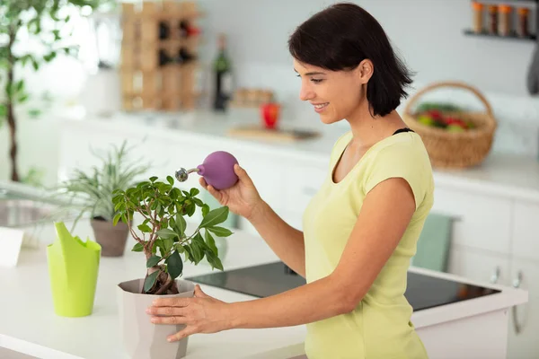 Woman Caring Potted Flowers Home — Stock Photo, Image