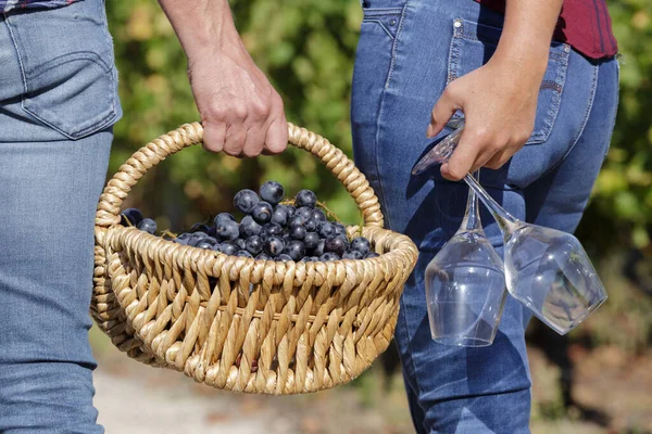 Rückansicht Des Ehepaares Mit Korb Voller Trauben Und Weingläsern — Stockfoto