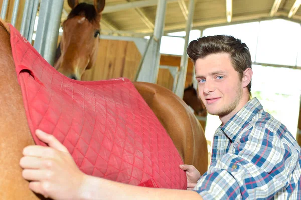 Uomo Che Mette Una Coperta Sulla Schiena Del Cavallo — Foto Stock