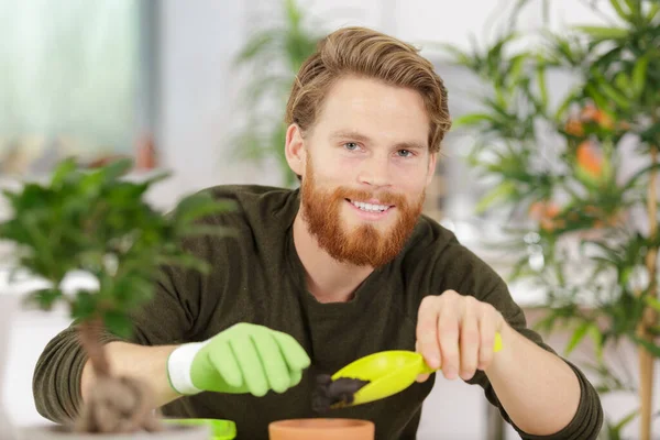 Uomo Sorridente Che Lavora Con Piante Casa — Foto Stock