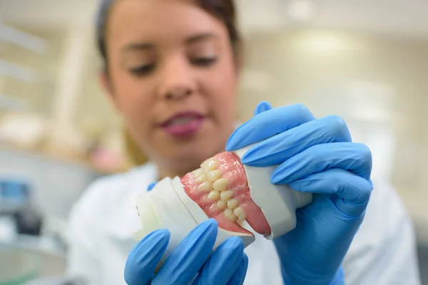 Young Female Dentist Holding Jaws — Stock Photo, Image
