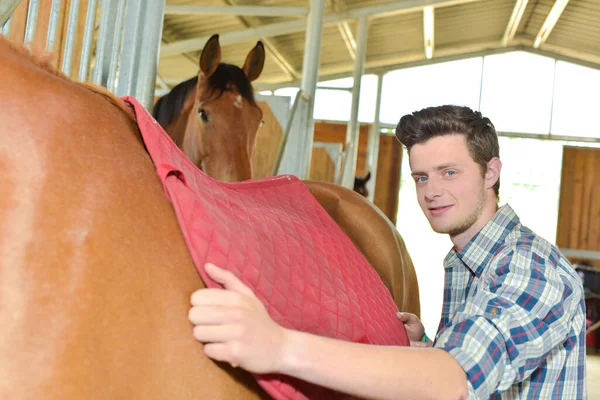 Jeune Homme Avec Des Chevaux — Photo