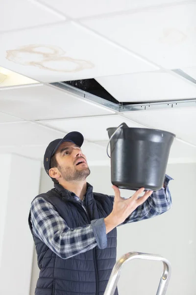 male worker holding bucket under leaking ceiling