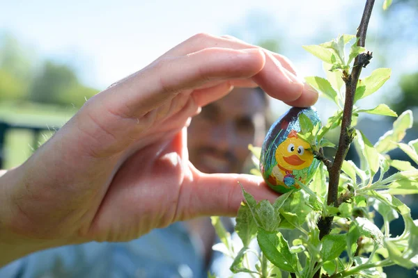 Natuurlijke Paaseieren Natuur — Stockfoto