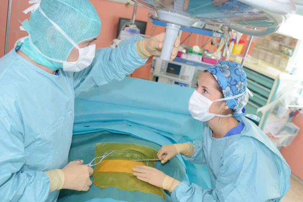 Dois Cirurgiões Veterinários Sala Operações — Fotografia de Stock