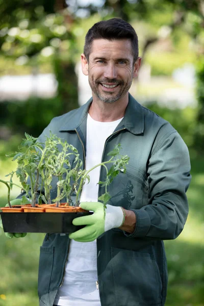 Hombre Feliz Trasplantando Una Nueva Planta Jardín —  Fotos de Stock