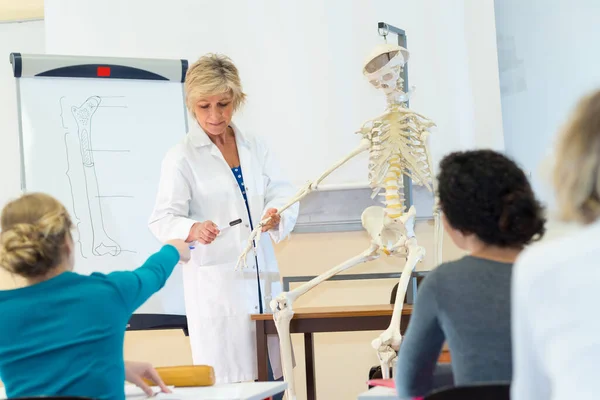Medizinstudenten Untersuchen Menschliches Skelettsystem — Stockfoto