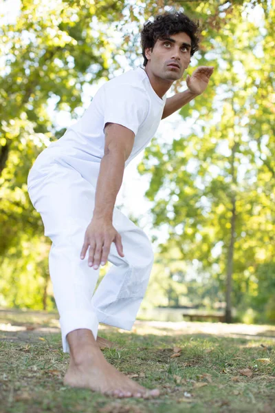 Jeune Homme Tenant Posture Tai Chi — Photo