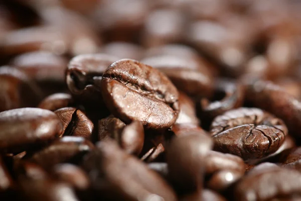 Latar belakang biji kopi — Stok Foto