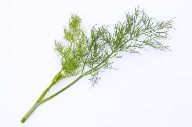 Dill.