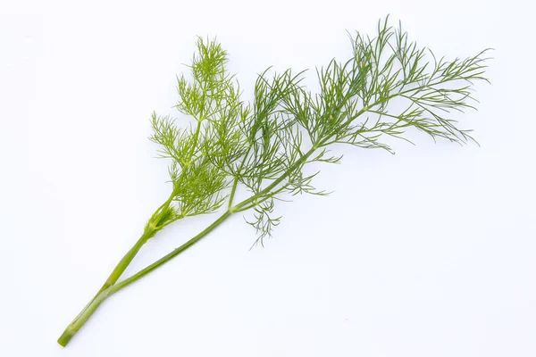 Dill. — Photo