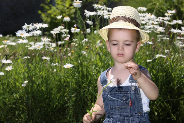 Boy with a flower — Stock Photo, Image