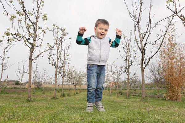 Boy in orchard — Stock Photo, Image