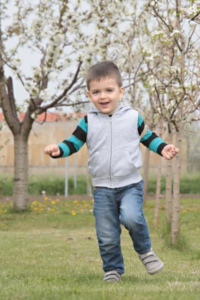 Boy in orchard — Stock Photo, Image