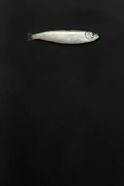 Poissons — Photo