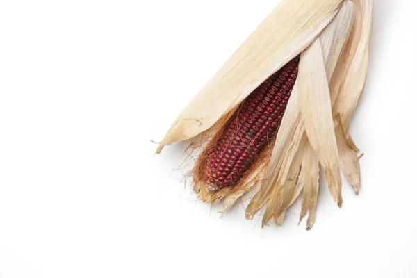 Ацтекська Червона Кукурудза Ізольована Білому Тлі — стокове фото