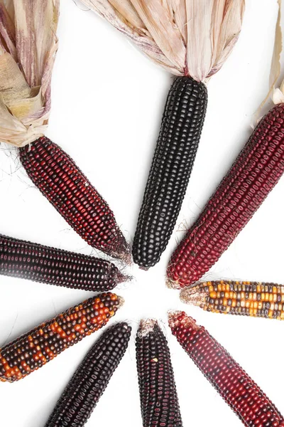 Azteken Bunte Mais Isoliert Auf Weißem Hintergrund — Stockfoto