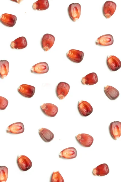 Azték Vörös Kukorica Magvak Izolált Fehér Alapon — Stock Fotó