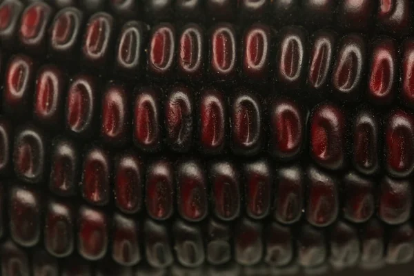 红色装饰印第安玉米背景 — 图库照片