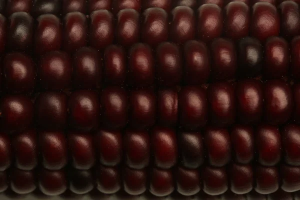 Piros Dekoratív Indiai Kukorica Háttér Közelről — Stock Fotó