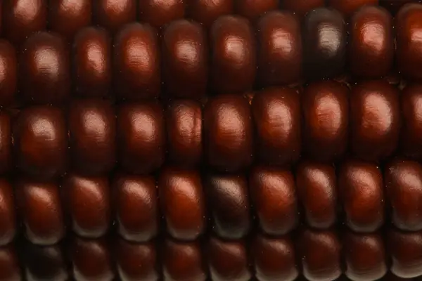 Piros Dekoratív Indiai Kukorica Háttér Közelről — Stock Fotó