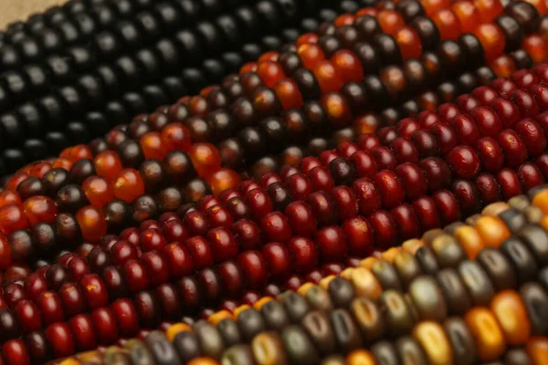 Dekorative Indische Mais Hintergrund Nahaufnahme — Stockfoto