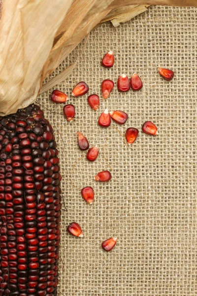 Dekorative Indische Rote Mais Auf Klett Stoff Hintergrund — Stockfoto