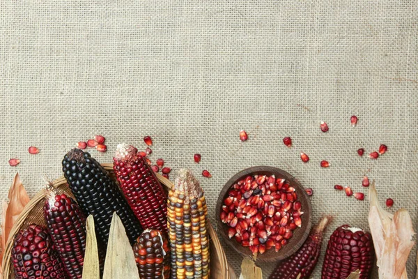 Декоративна Індійська Кукурудза Тканині Юти Багатокольорова Кремнезейна Кукурудза — стокове фото