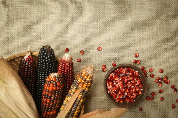 Maíz Indio Decorativo Sobre Fondo Tela Yuta Maíz Pedernal Multicolor — Foto de Stock