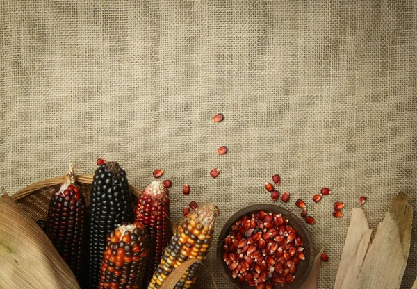 Декоративна Індійська Кукурудза Тканині Юти Багатокольорова Кремнезейна Кукурудза — стокове фото