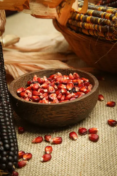 殻付き装飾的なインドのトウモロコシ マルチカラーのフリントコーン — ストック写真