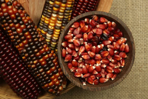 Декоративные Семена Индийской Кукурузы Миске Разноцветная Кремневая Кукуруза Деревянном Фоне — стоковое фото