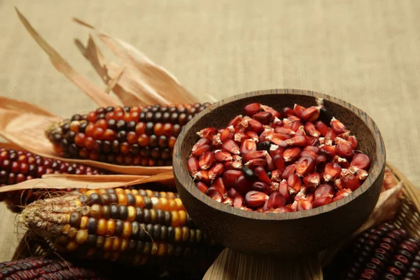 Декоративная Индийская Кукуруза Шелухой Многоцветная Кремневая Кукуруза — стоковое фото