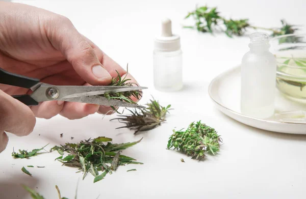 Marijuana Medicinal Mão Com Tesoura Cortando Maconha Cortando Botões Cannabis — Fotografia de Stock