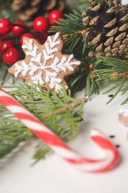 Noel süsü. Noel ağacı dalları ve ev yapımı Noel kurabiyeleri, resmi kapat.