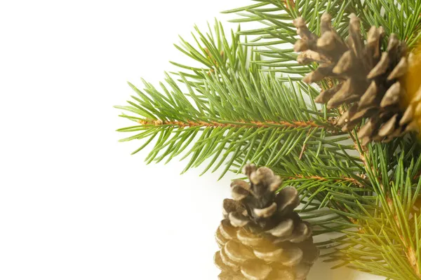 白い背景に孤立したモミの枝や松のコーンで作られたクリスマスの装飾 — ストック写真