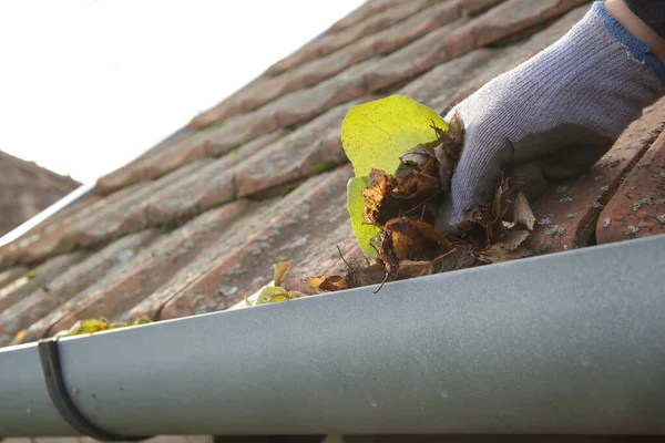 Die Dachrinne Vor Der Wintersaison Vom Herbstlaub Reinigen Dachrinnenreinigung — Stockfoto