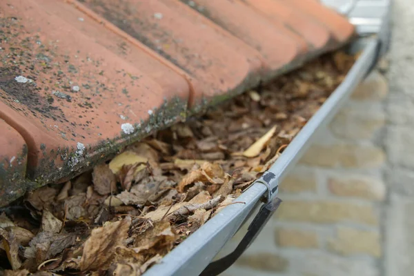 Dachrinne Voller Alter Herbstblätter Und Dreck — Stockfoto