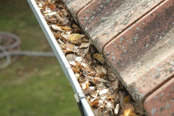 Dachrinne Voller Alter Herbstblätter Und Dreck — Stockfoto