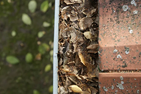 Dachrinne Voller Alter Herbstblätter Und Dreck — Stockfoto