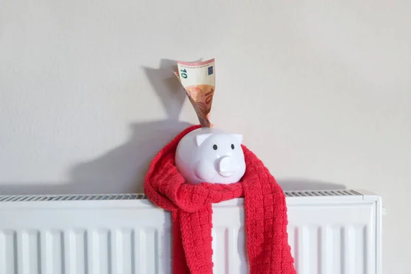 Heizkosten Und Sparkonzept Sparschwein Und Geld Für Heizkörper — Stockfoto