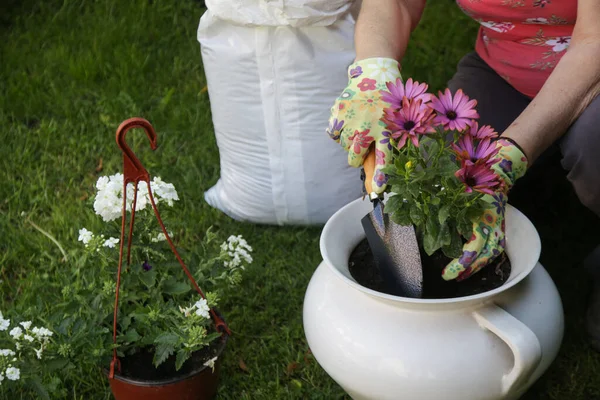 庭の土で鍋に花を植え替える女性 春のアウトドア雑用 — ストック写真