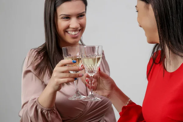 Two Happy Women Clinking Crystal Wine Glasses — 스톡 사진