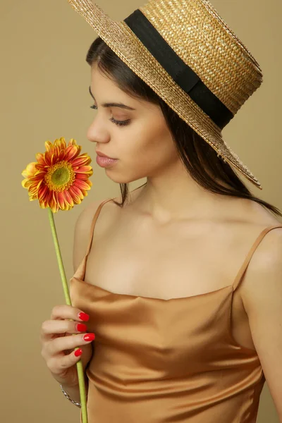 Studio Shot Beautiful Young Woman Straw Hat Holds Transvaal Daisy — Stock Photo, Image