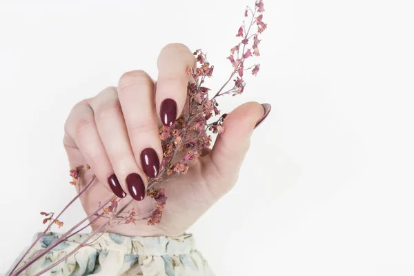 Mulher Mão Com Unhas Roxas Polonês Manicure Fundo Branco — Fotografia de Stock