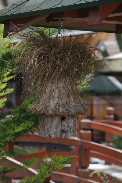 Vogelvoeder Vogelhuisje Aan Boom Lente Schuilplaats Voor Vogels — Stockfoto