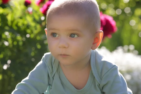 Portret Van Schattige Blauwe Ogen Baby Jongen Bloementuin — Stockfoto