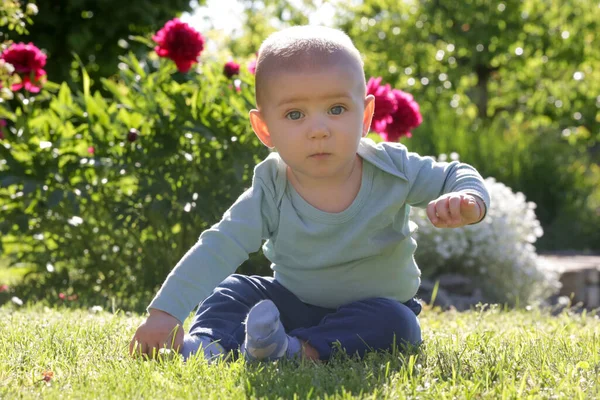 Portret Van Schattige Blauwe Ogen Baby Jongen Bloementuin — Stockfoto