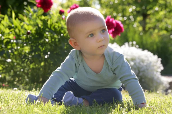 Portrait Cute Blue Eyed Baby Boy Flower Garden — Stock Photo, Image