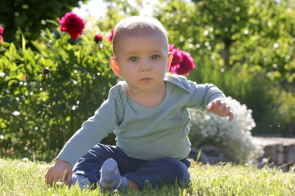 Portrait Cute Blue Eyed Baby Boy Flower Garden — Stock Photo, Image